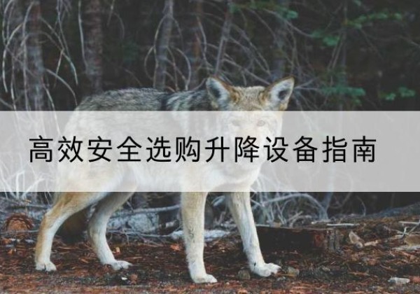 新巴尔虎右旗升降货梯厂家推荐-*安全选购升降设备指南
