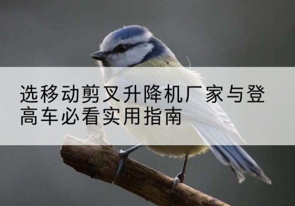 新巴尔虎右旗电动升降机厂家-选移动剪叉升降机厂家与登高车必看实用指南